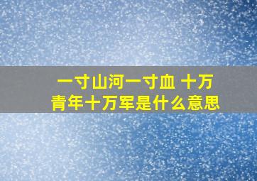 一寸山河一寸血 十万青年十万军是什么意思